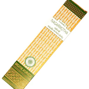 Goloka ayuvedico nagarmota incienso shop tantra press portada