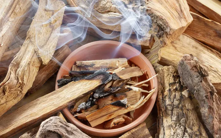 Incienso Natural,Natural de Perú para Alejar,Madera Sagrada,Palo Santo para  Quemar,Conos Incienso,Conos Incienso Reflujo,ONO Sándalo Natural,Conos  Incienso Cascada,Natural Incienso Conos : : Hogar y cocina