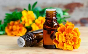 Essential oil is a complex mixture of aromatic substances that are responsible for the aromas of flowers.