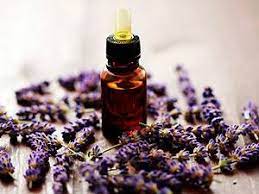 Lavender essence is used in the field of archaic or traditional medicine as a medicinal substance dissolved in a liquid or oil.