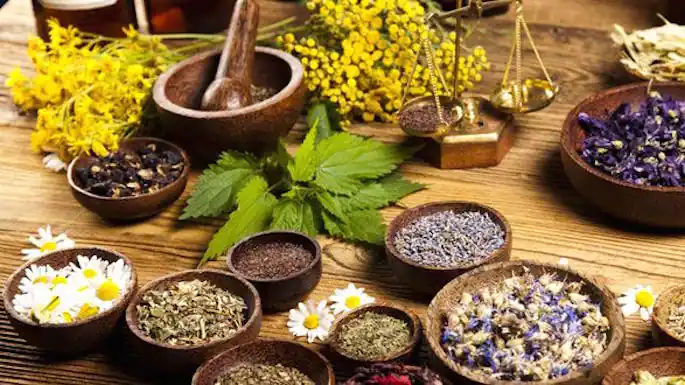 Essence of Ayurveda