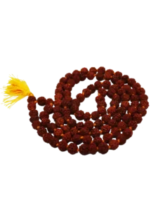 La semilla Rudraksha se utiliza para fabricar malas o rosarios, y con el pasar de sus cuentas se recitan mantras.