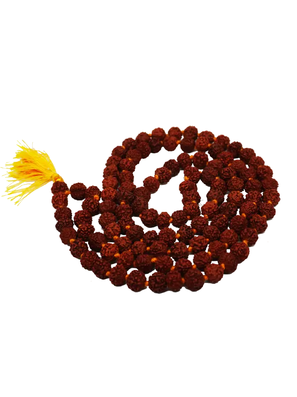 Rudraksha seed is used to make malas or rosaries, and with the passing of its beads mantras are recited.
