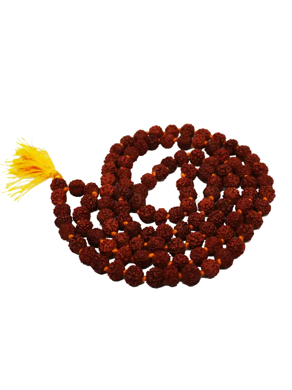 La semilla Rudraksha se utiliza para fabricar malas o rosarios, y con el pasar de sus cuentas se recitan mantras.