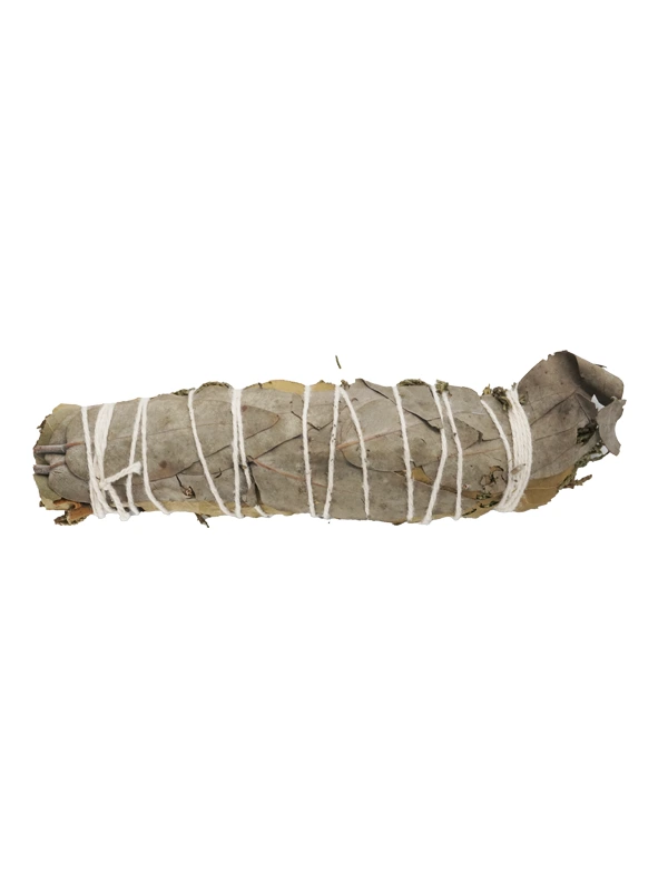 bundle of aromatic herbs 1