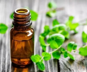 3esencia.inciensoshop Las esencias, por otra parte, son moléculas producidas por unas glándulas que se encuentran en la composición de determinadas plantas catalogadas como aromáticas, es decir, que desprenden un aroma.