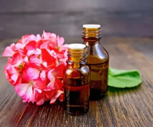 Pure essential oils have many properties and characteristics, as well as a great aroma.
