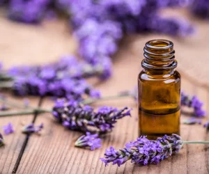 natural-essences natural-essences